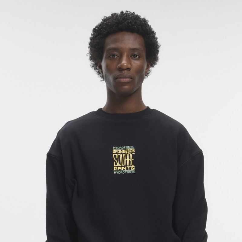 HYDROPONIC SB ACID CW 01-BLACK