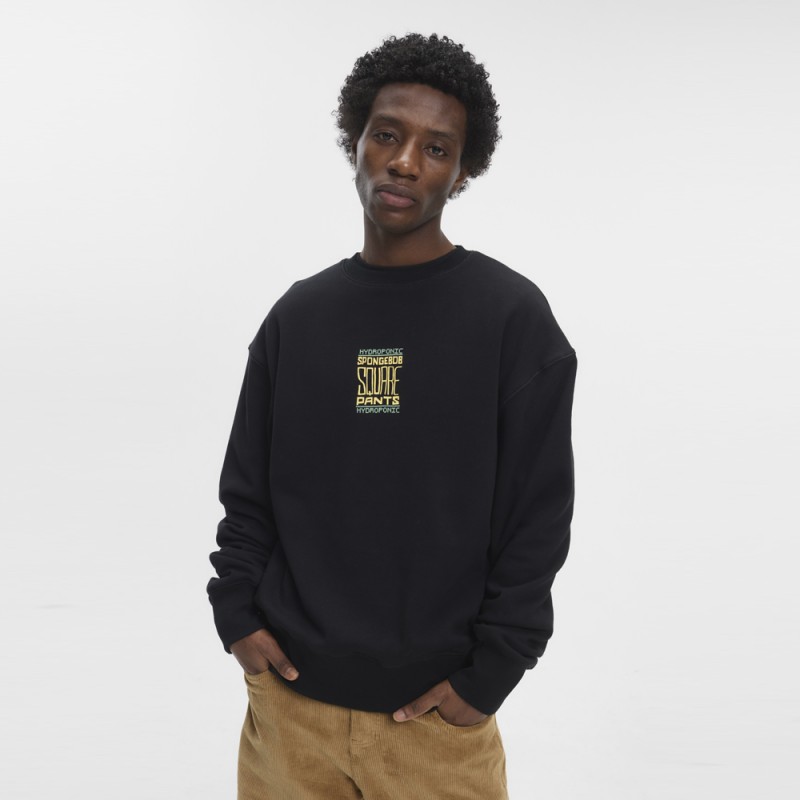 HYDROPONIC SB ACID CW 01-BLACK