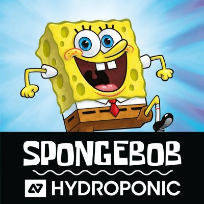 HYDROPONIC SB TONGUE BN 22-TAN BROWN HYDROPONIC SB TONGUE BN 22-TAN BROWN