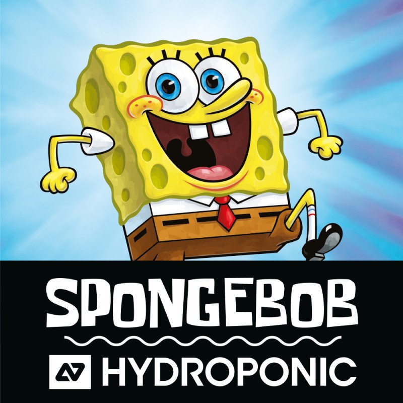 HYDROPONIC SB TONGUE BN 23-BLUE CLOUD