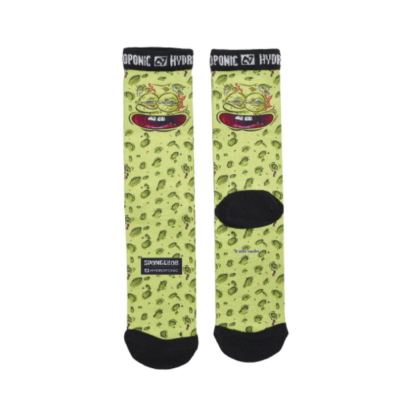 HYDROPONIC SK SPONGEBOB 10-BOB FACE