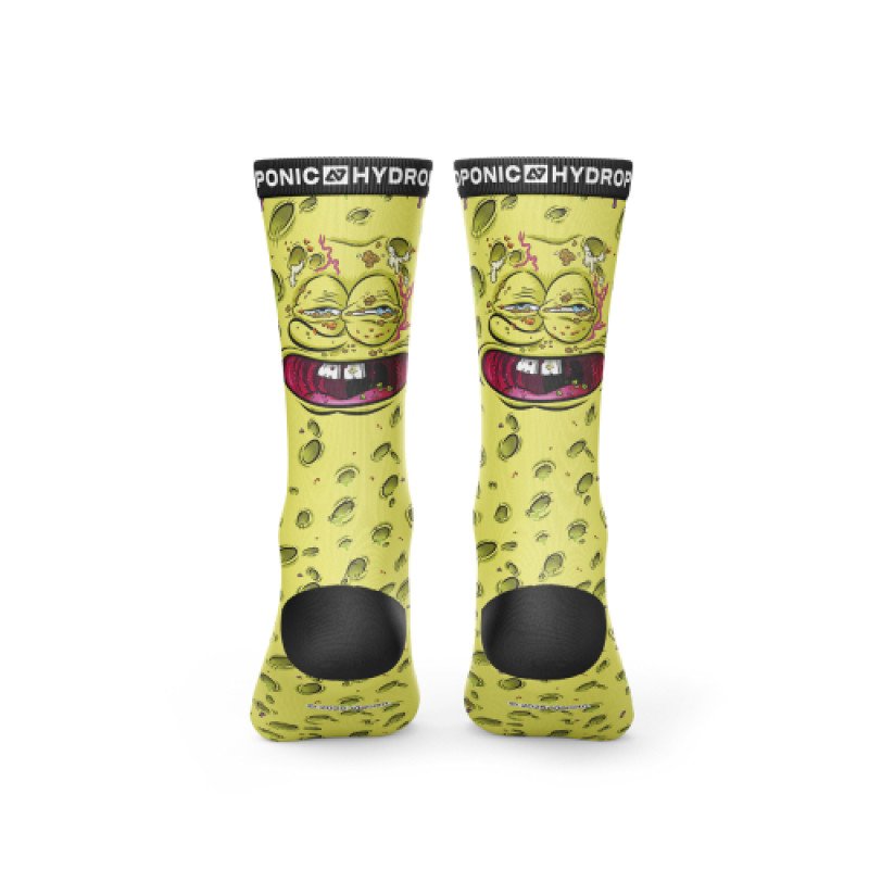 HYDROPONIC SK SPONGEBOB 10-BOB FACE