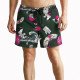 SALTY SLANG GEISHA SWIMSHORT