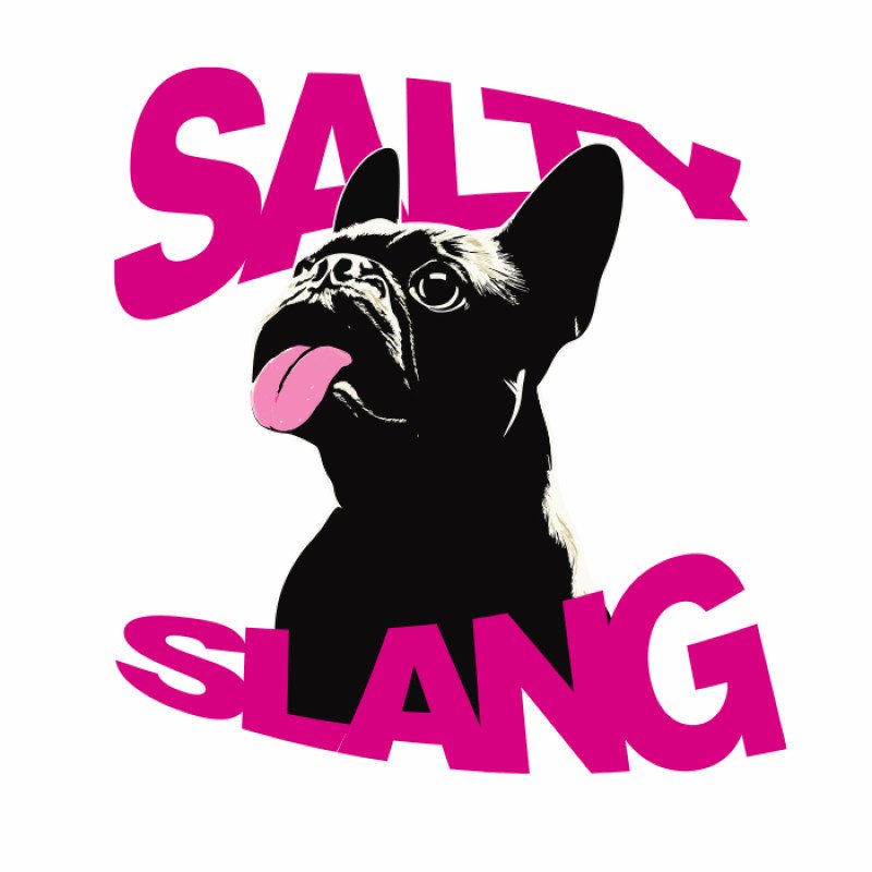 SALTY SLANG BAHA DOG HOODIE