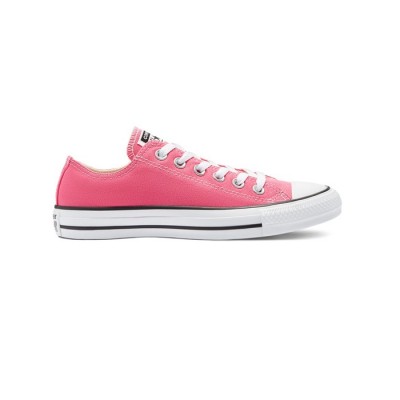 CONVERSE CHUCK TAYLOR ALL STAR PET CANVAS SEASONAL COLOR CONVERSE CHUCK TAYLOR ALL STAR PET CANVAS SEASONAL COLOR