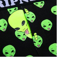 RIP N DIP We out here boxers